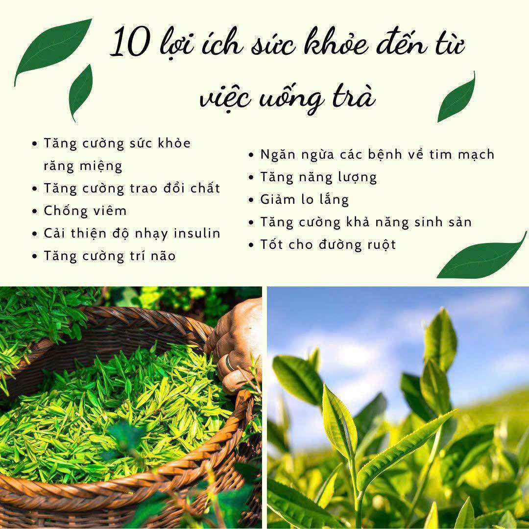 ÍCH THANH TRÀ LÀM SẠCH MỠ MÁU ĐÀO THẢI ĐỘC TỐ