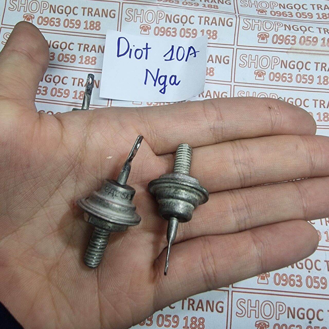 Diot Nga 10A - Giá 1 con