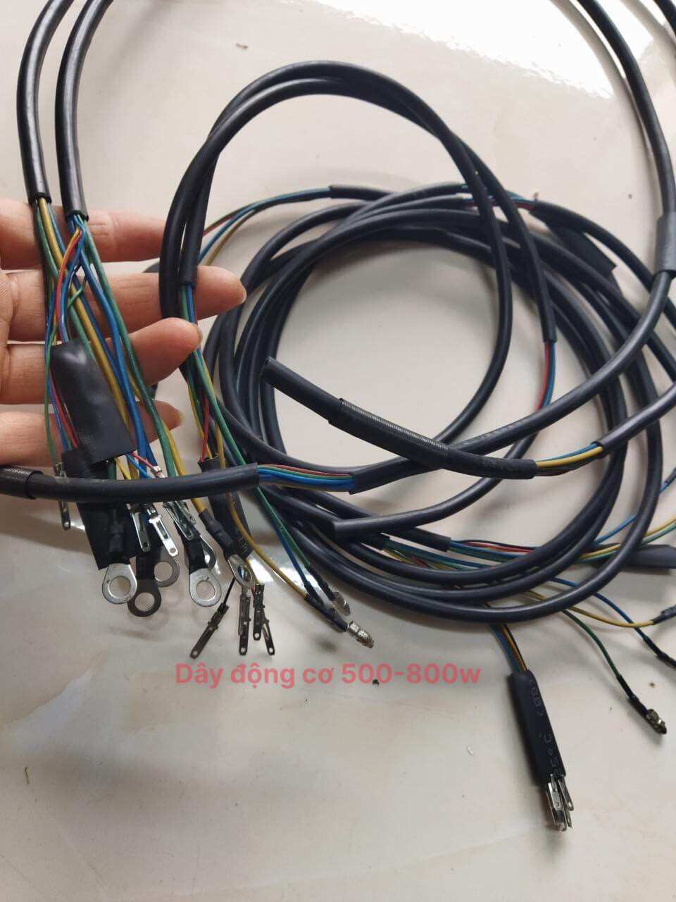 Dây động cơ xe điện 350w,500w, 800w