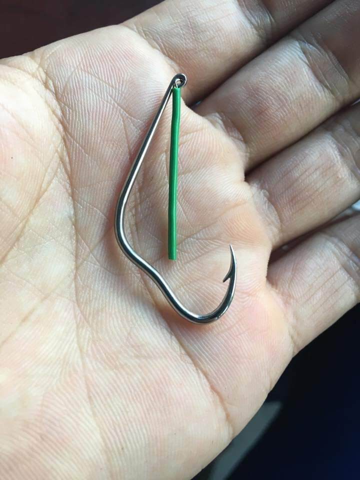 mẫu lưỡi câu lóc số 3 nòng điện