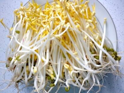 1kg Đậu nành làm giá đỗ
