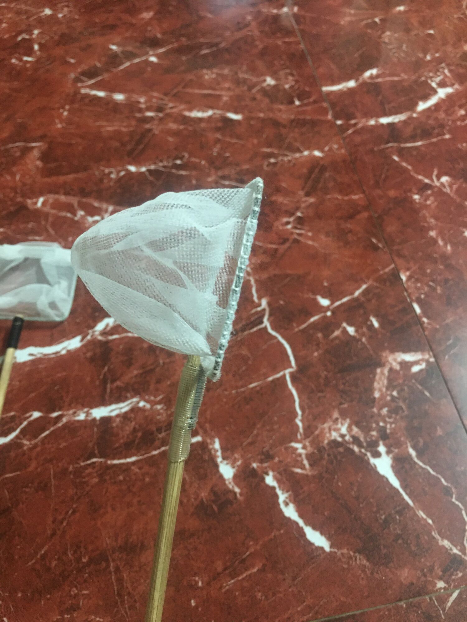 VỢT VỚT BOBO,  LĂNG QUĂNG,  CÁ CẢNH VÀ VỚT CẢ THẾ GIỚI