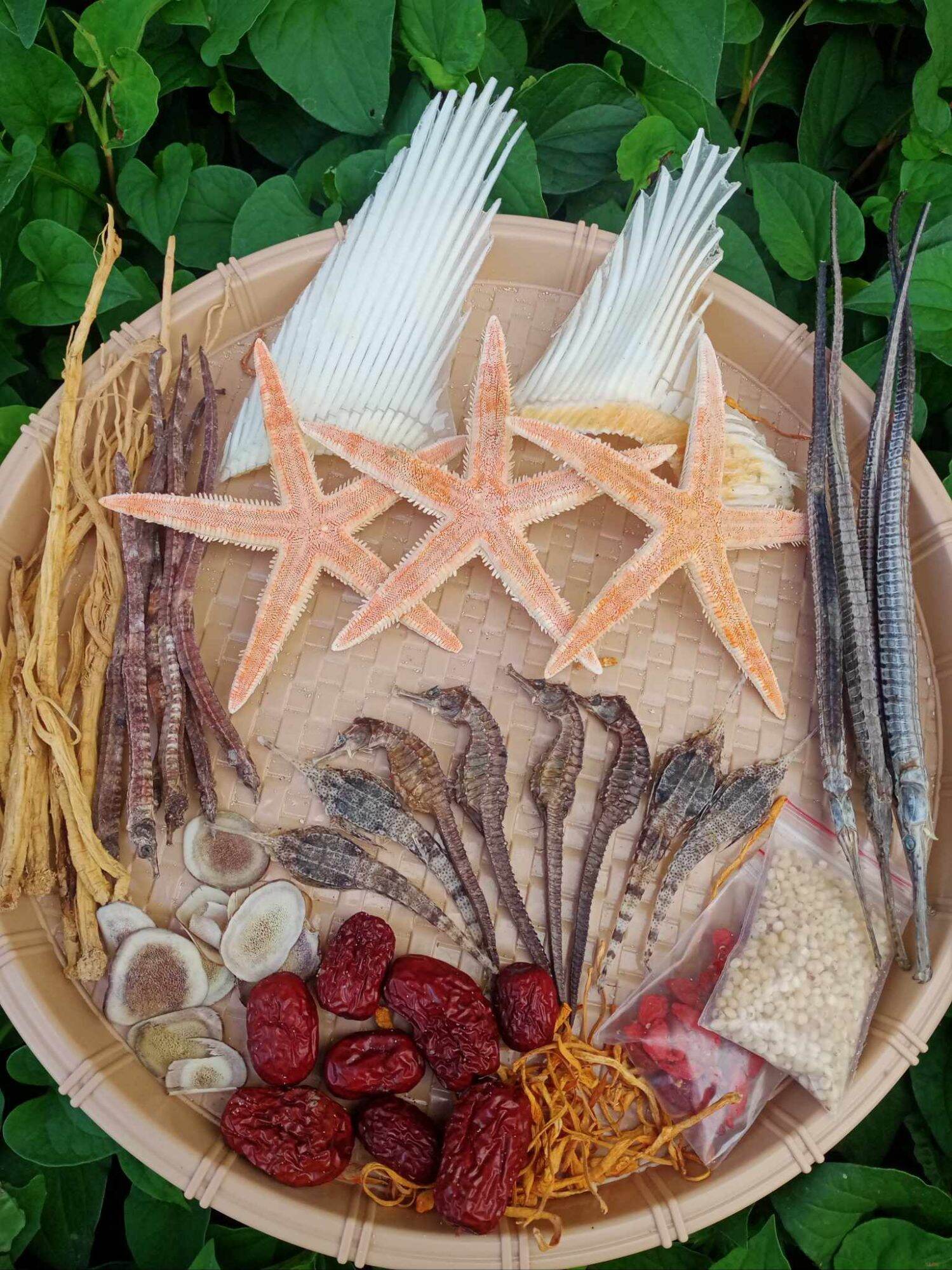 combo cá ngựa ngâm 3 lít