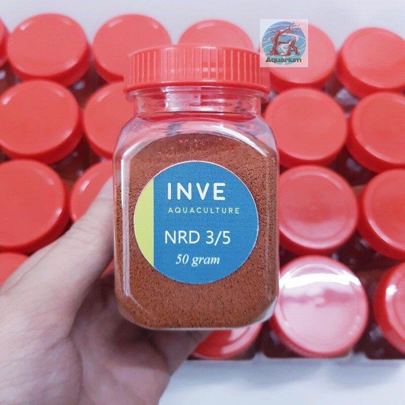 Cám thái inve 3/5 và 5/8
