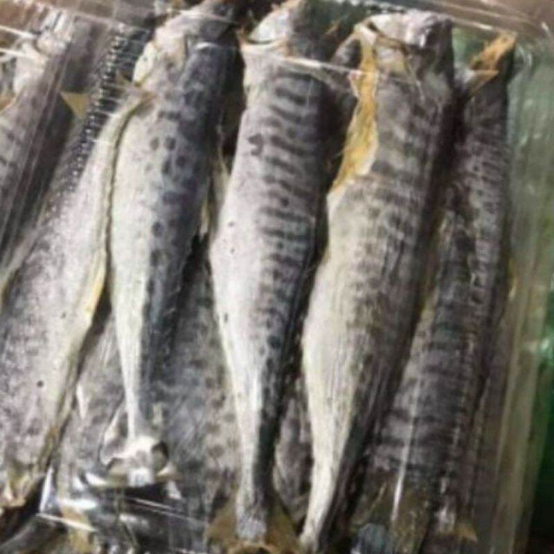 CÁ THU KHÔ DẺO DAI 1KG