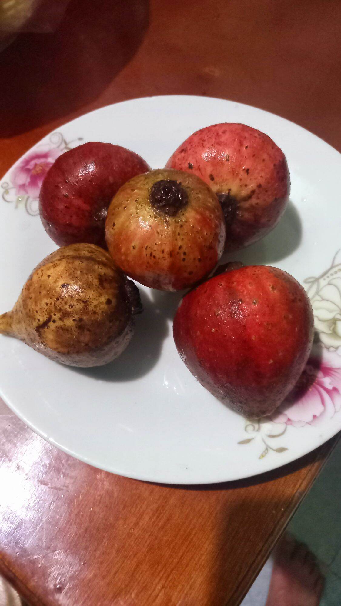Cây vả siêu quả.như hình 3 , cao  40 cm
