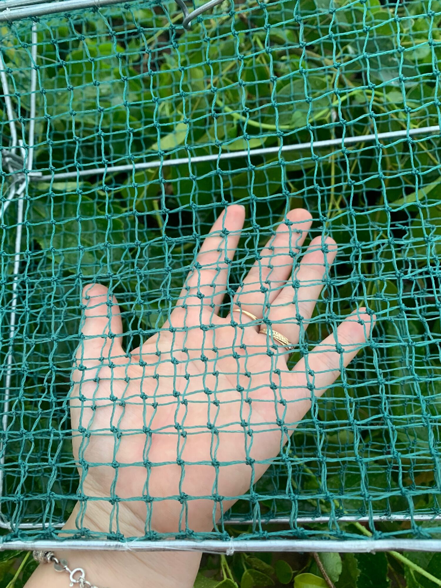 Lồng bẫy cua hiệu quả
