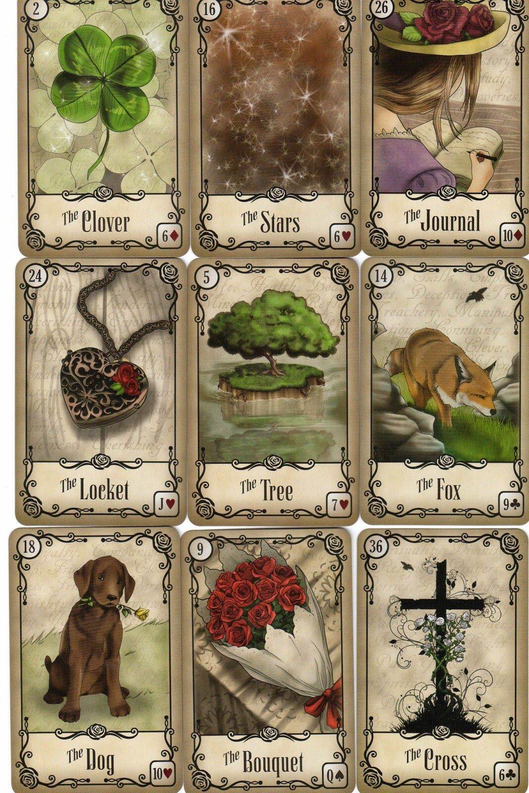 Bài Under the roses Lenormand