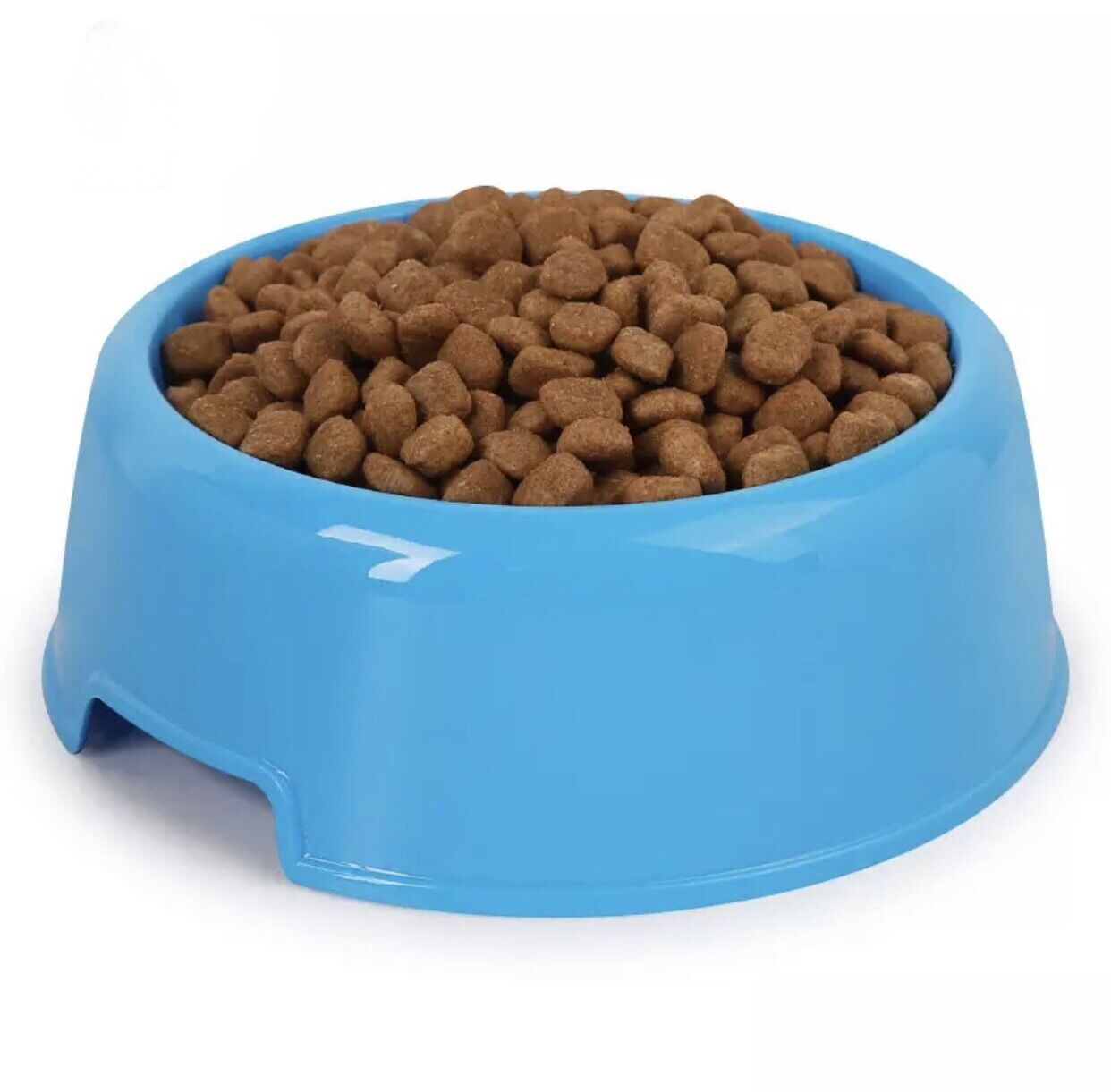 Chén ăn to cho hamster, chó , mèo, nhím, sóc….