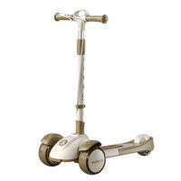 maiduomi | Foldable Scooter for Kids and Adults