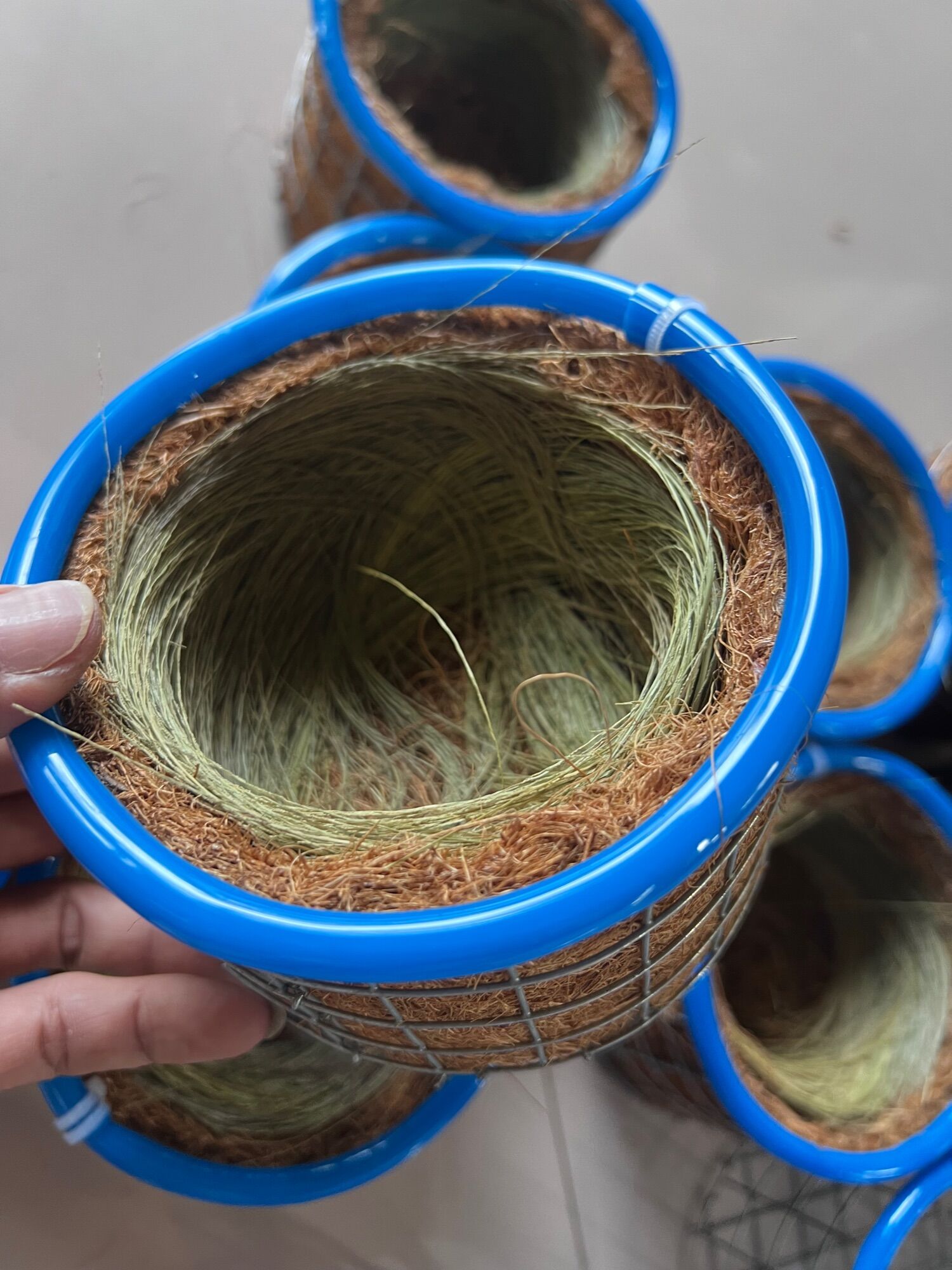 Tổ chim chào mào viền xanh  (tặng kèm bông đót và sơ dừa)