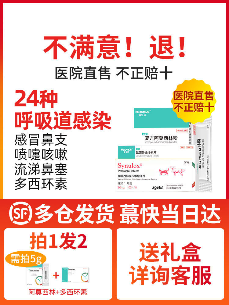 Amoxicillin Potassium Clavulanate Dose for Dogs And Cats Antibacterial Medicine for Nasal Discharge 