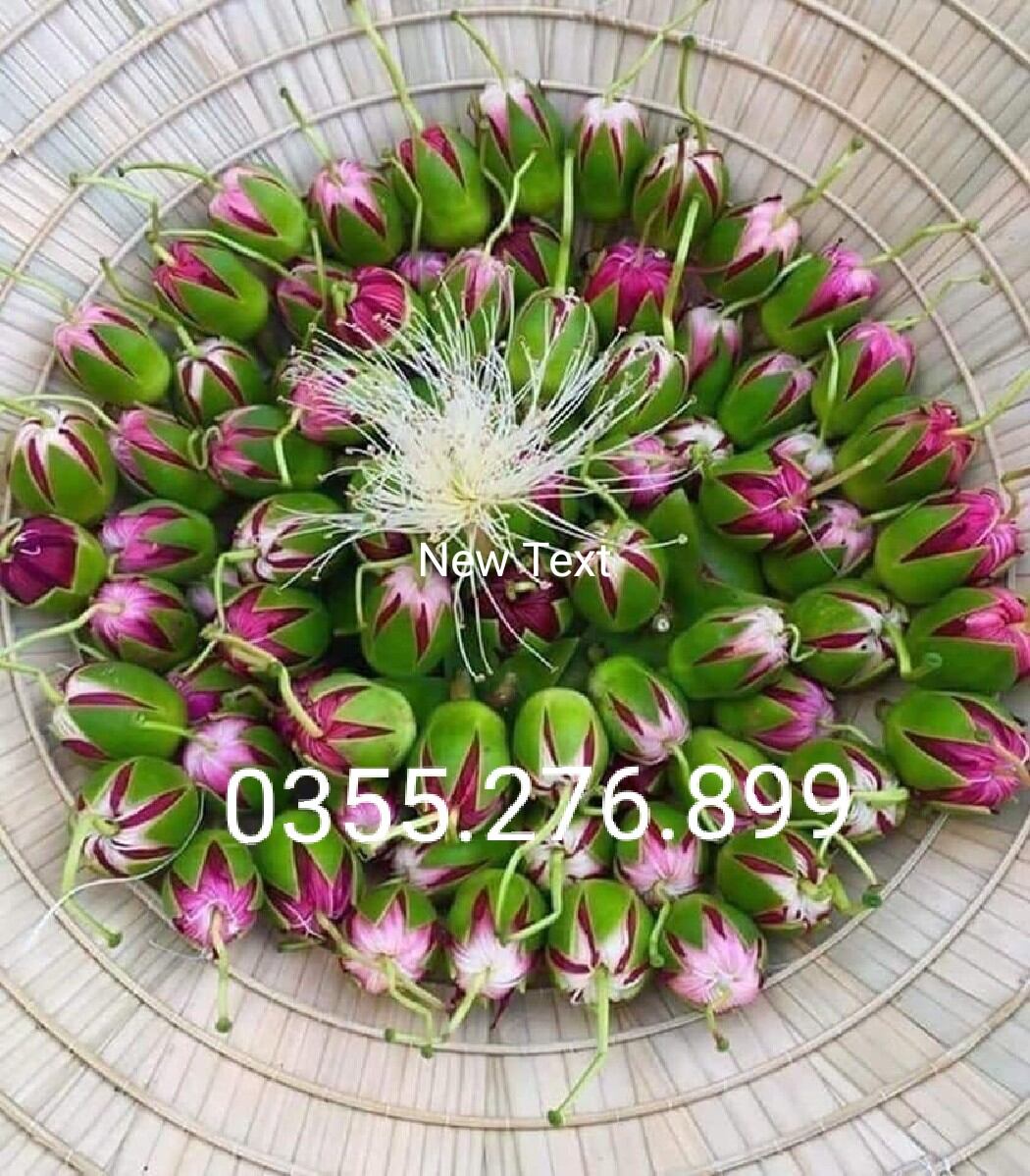 Combo 2kg lá bần tươi ,sạch