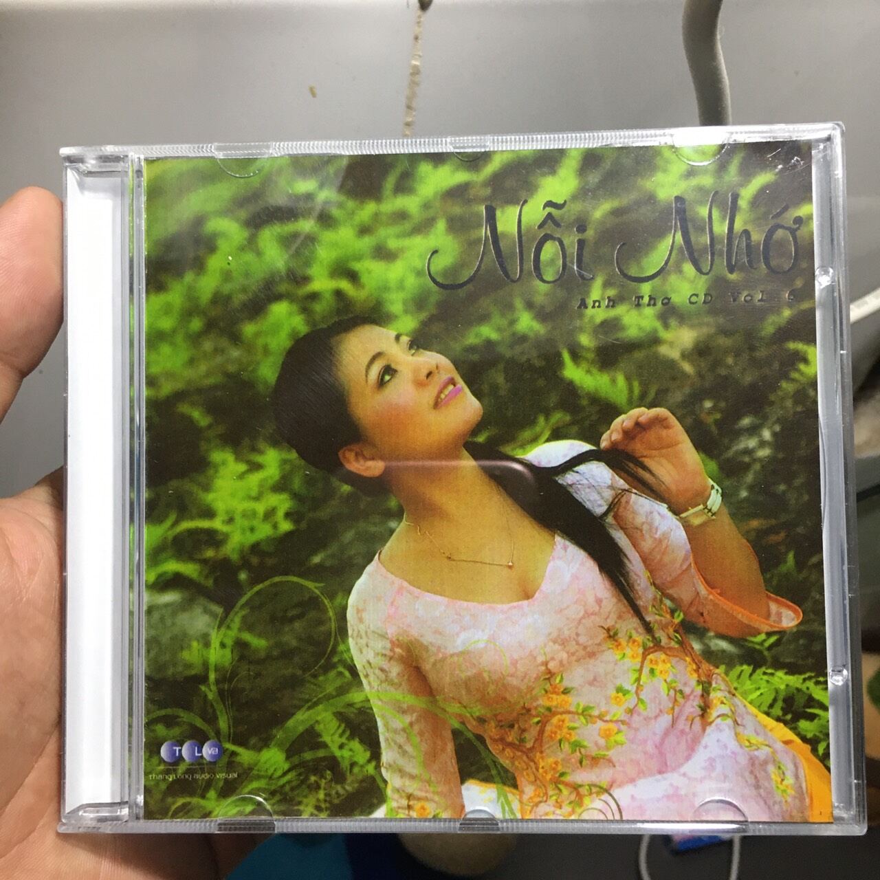 Anh thơ - nỗi nhớ