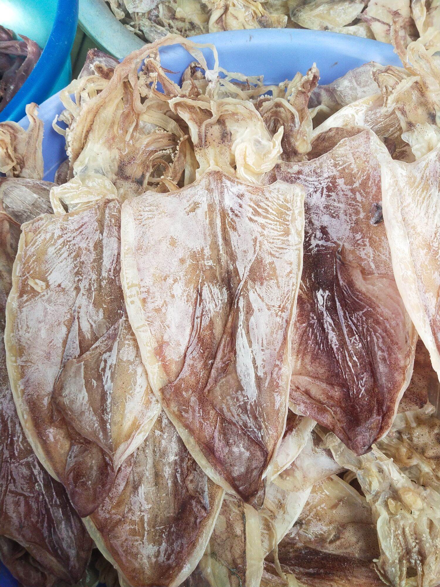 Mực khô câu 12-14con/kg [hàng loại 1 ngon ngọt] GHPY H006