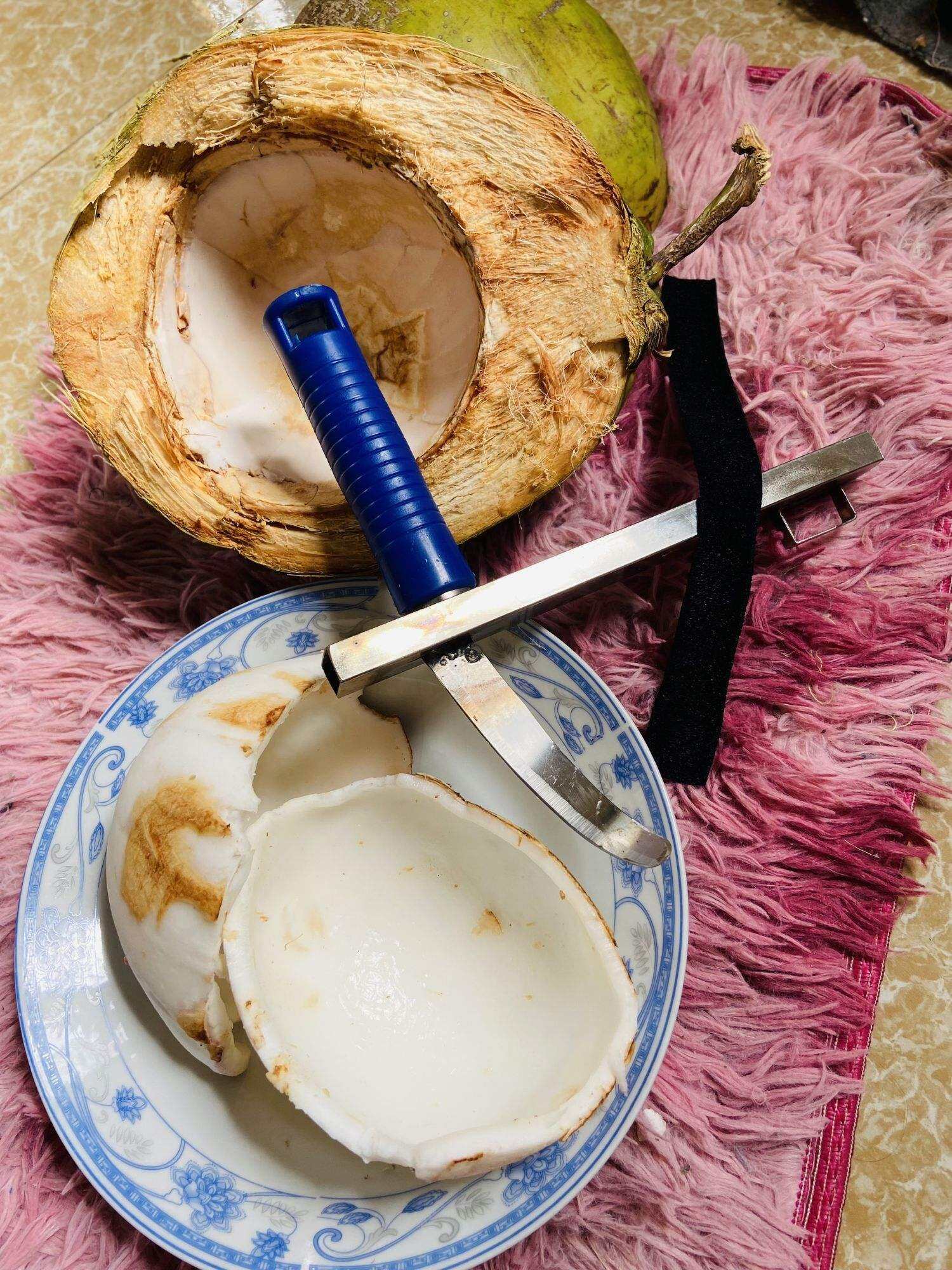 DAO NẠO CƠM DỪA INOX