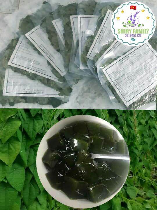 1 kg lá sương sâm lông khô + bột nang mực