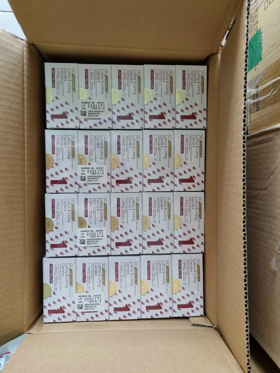 Cement gắn fuji 1 - 15g bột, 10g nước