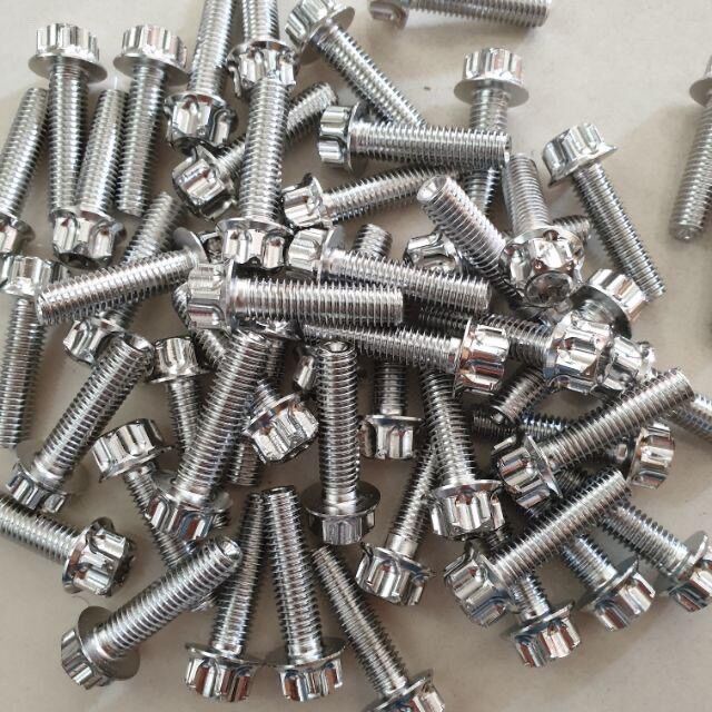 Ốc salaya 8li