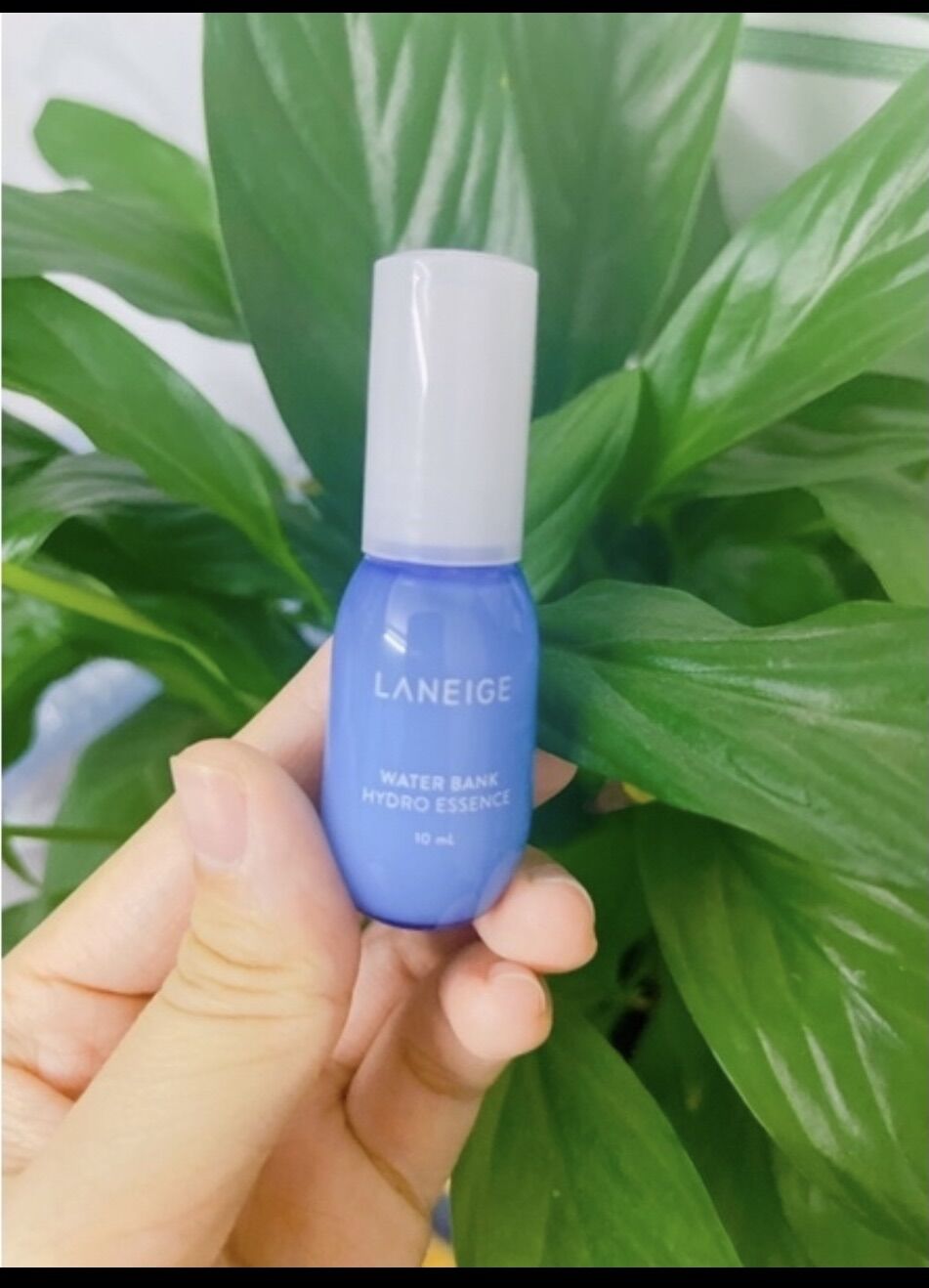 Laneige water bank hydro esence 10ml