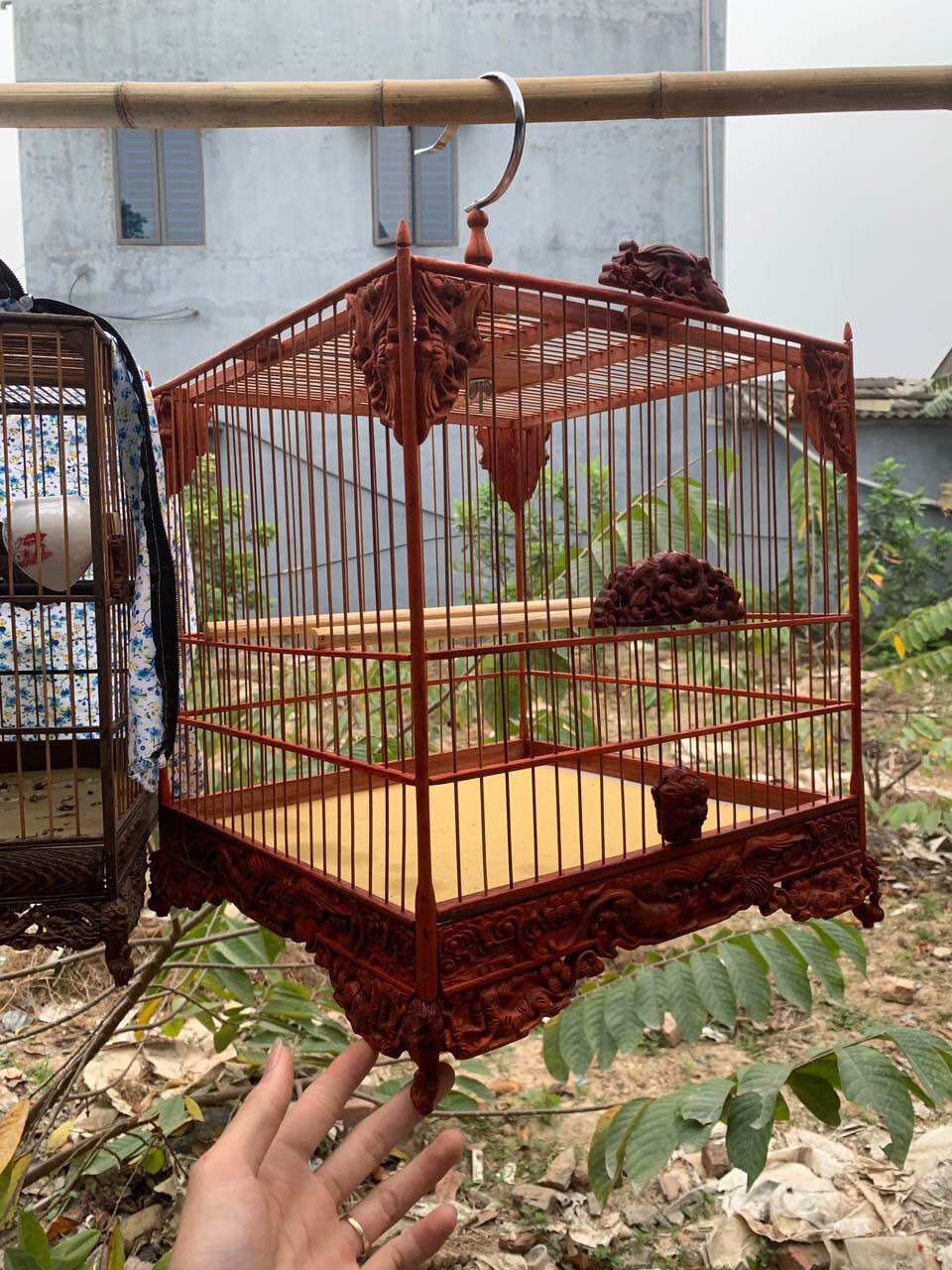Khung tự ráp lồng chim chào mào đẹp giá rẻ