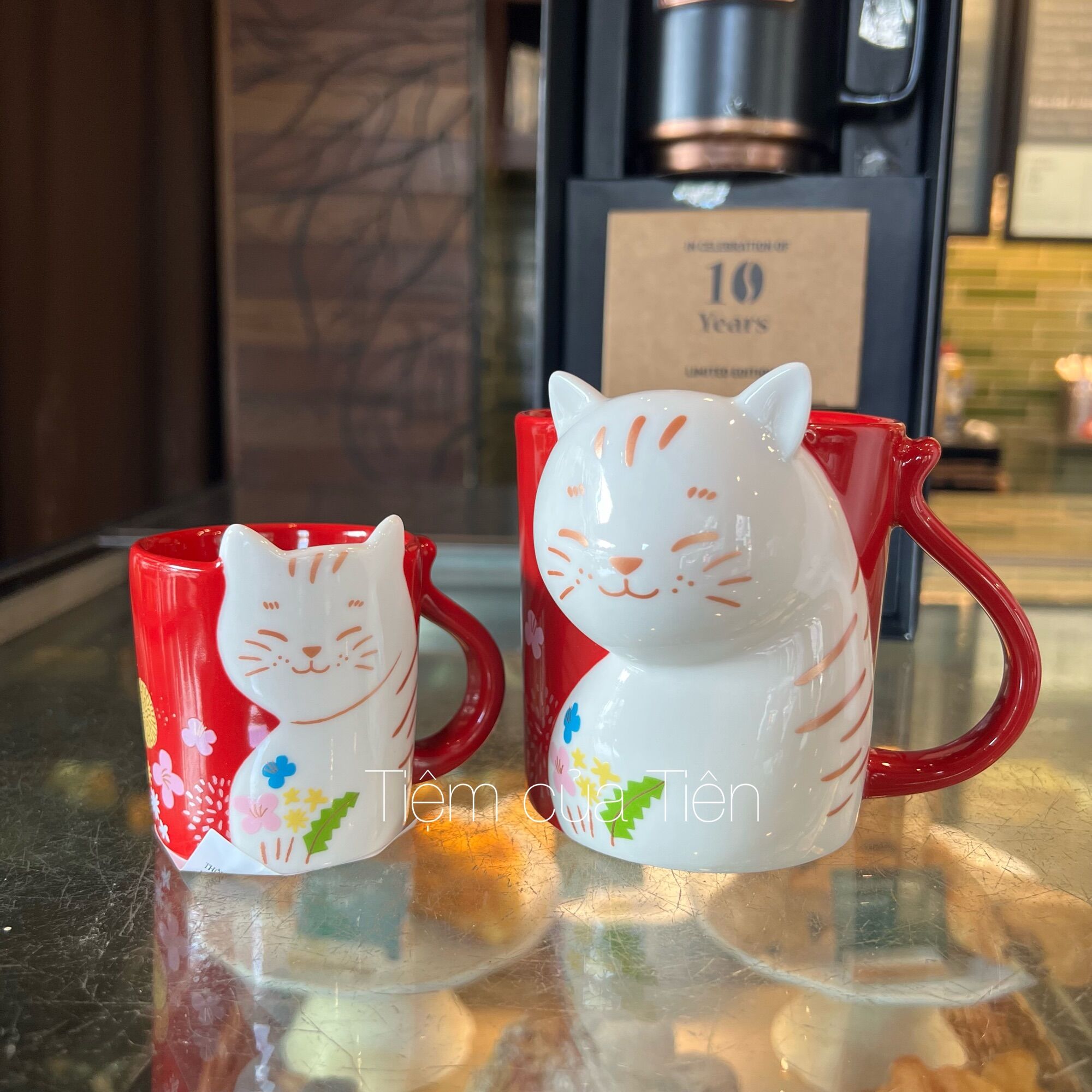 Bình starbucks - year of the cat 2023