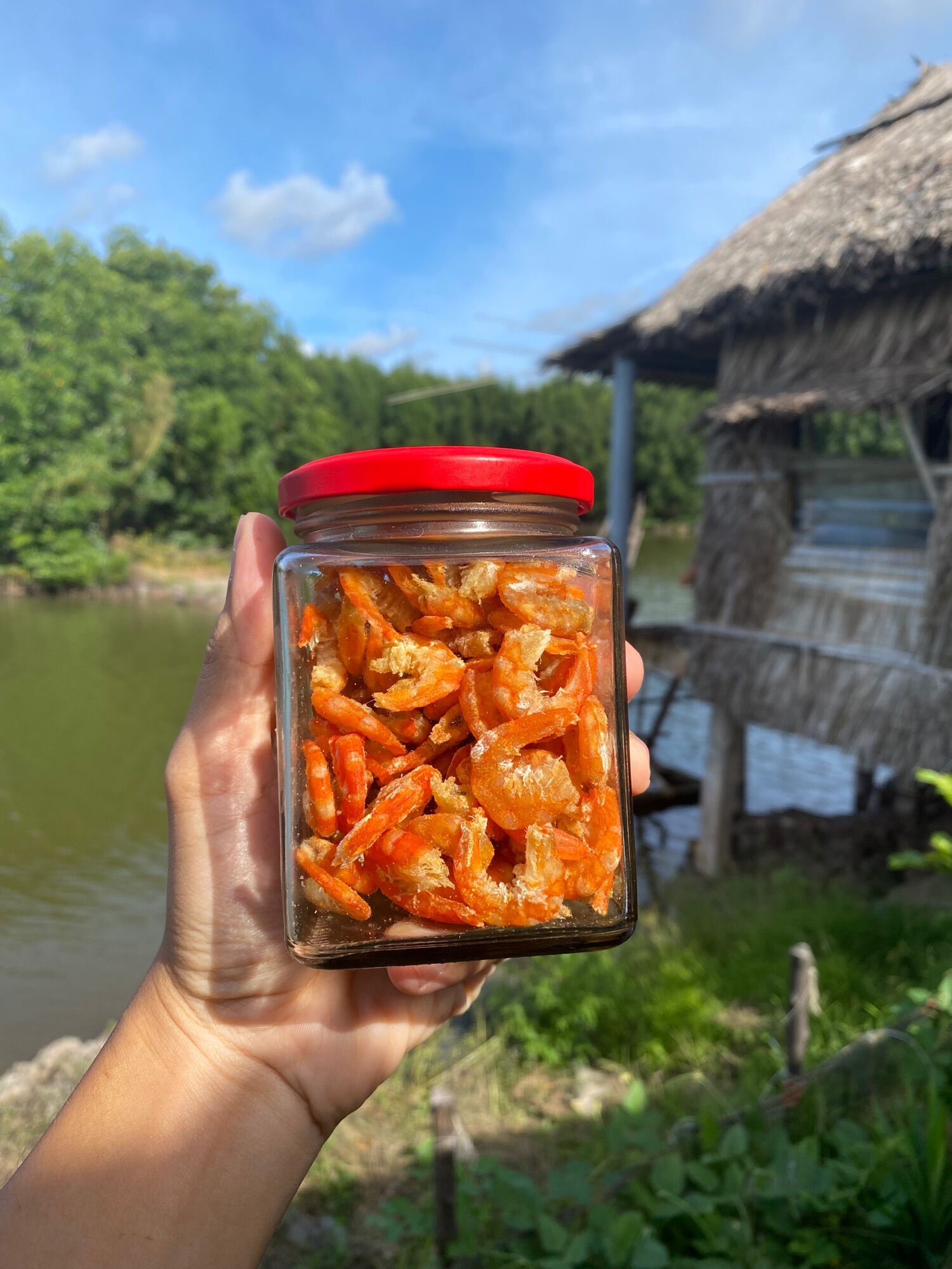 Tôm khô Cà Mau loại 1 Con Tôm Rừng