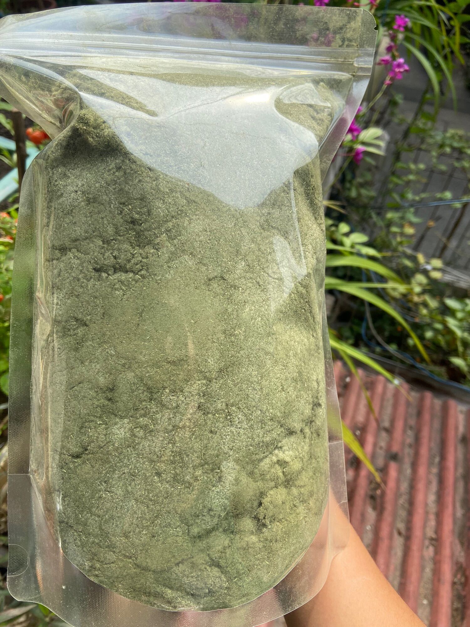 Bột rau khúc sấy lạnh nguyên chất gói 200gr