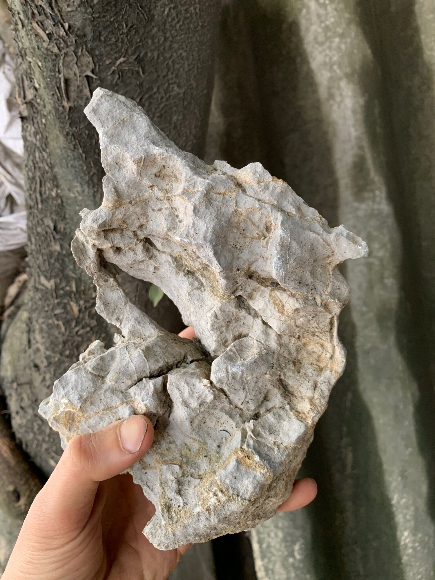 Đá tai mèo,đá lụa kí cây bonsai