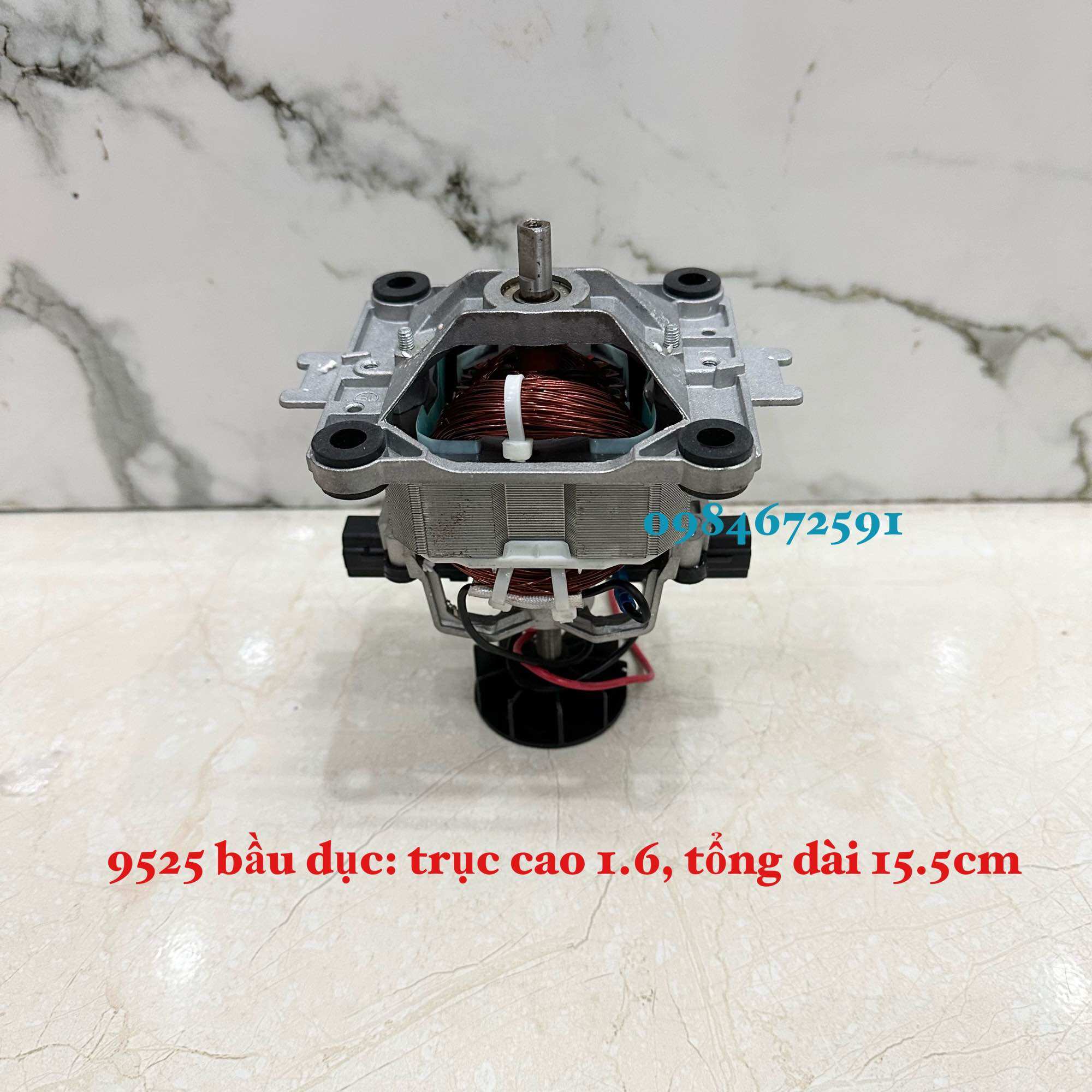 Mô tơ máy làm sữa hạt