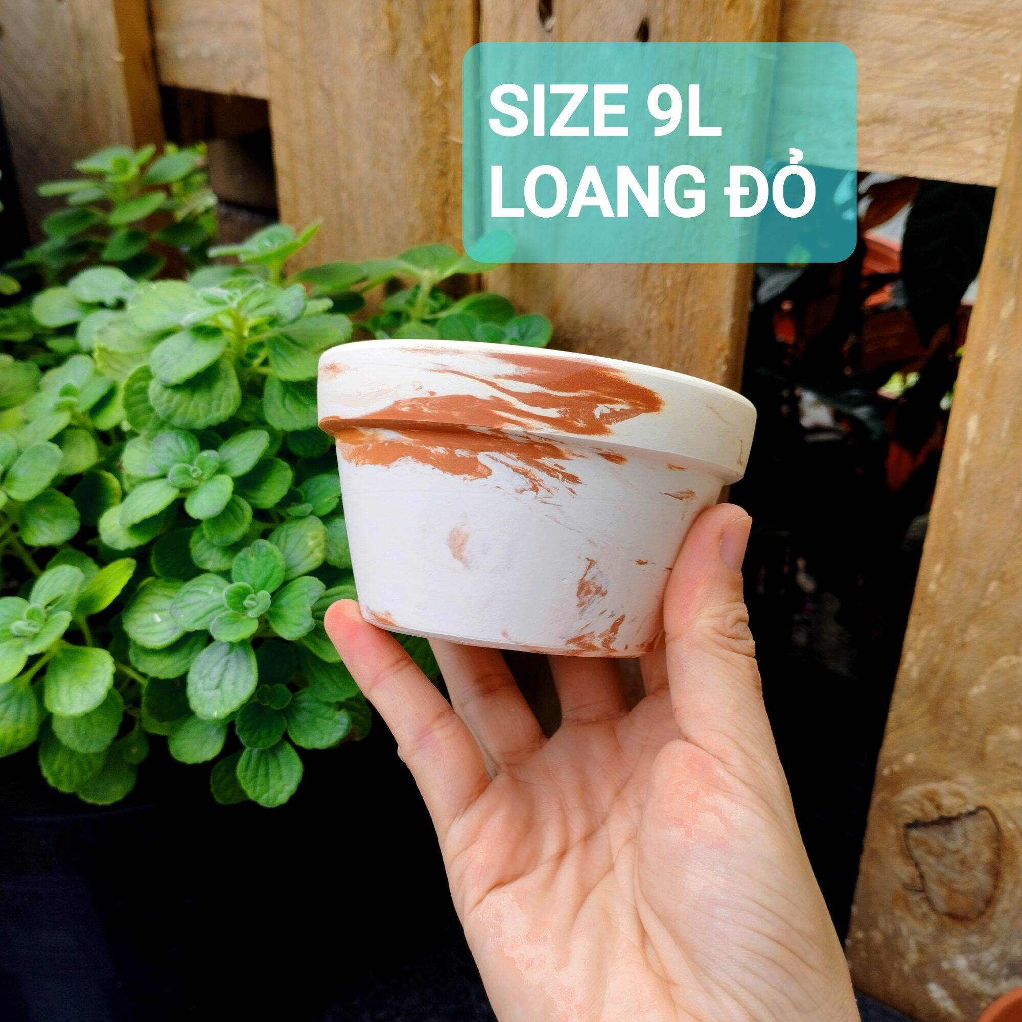 [Bao Bể Vỡ] Chậu Đất Nung Trồng Sen Đá Lùn 9x5Cm