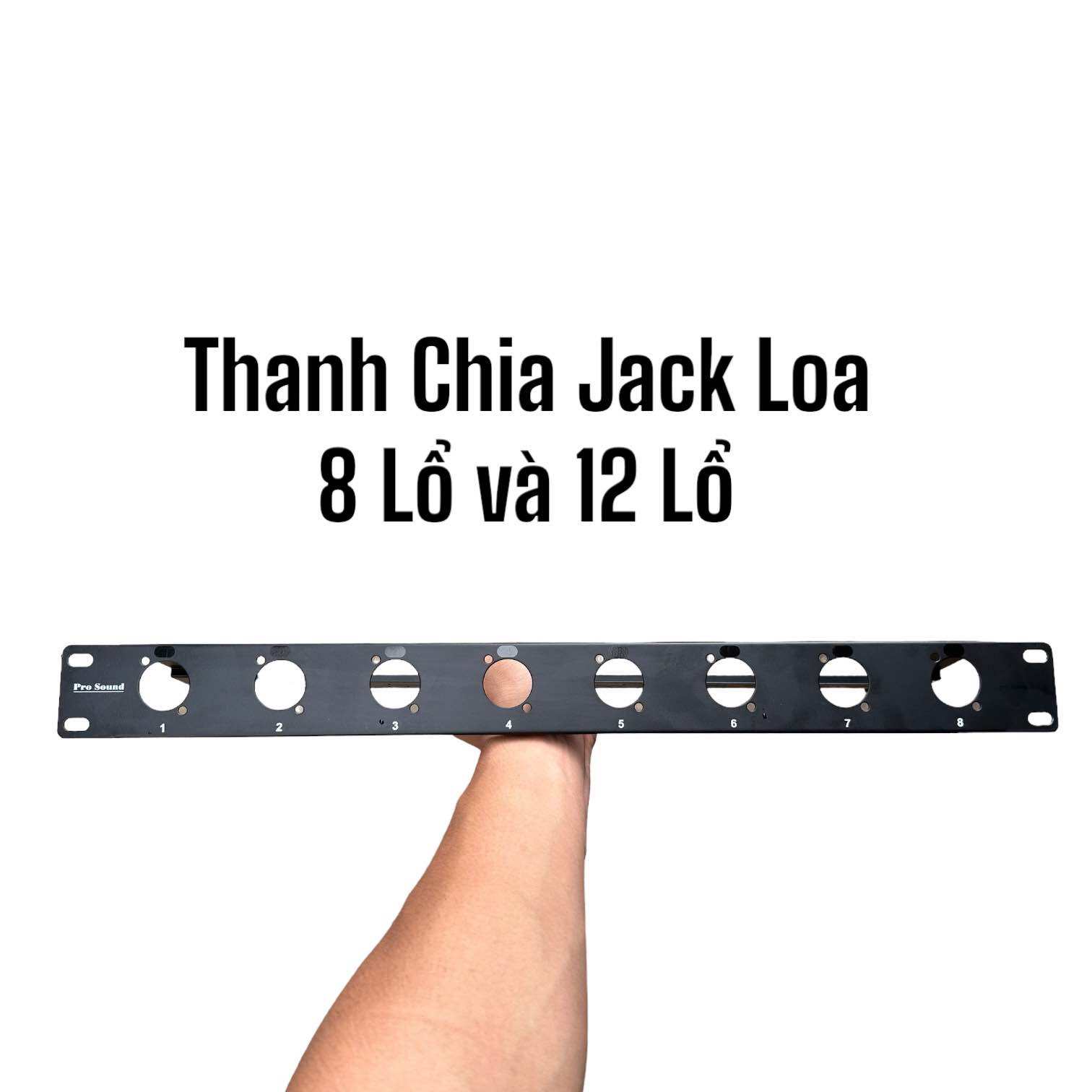 Thanh chia jack loa gắn tủ máy 8 lổ và 12 lổ. Thanh sắt gắn jack loa