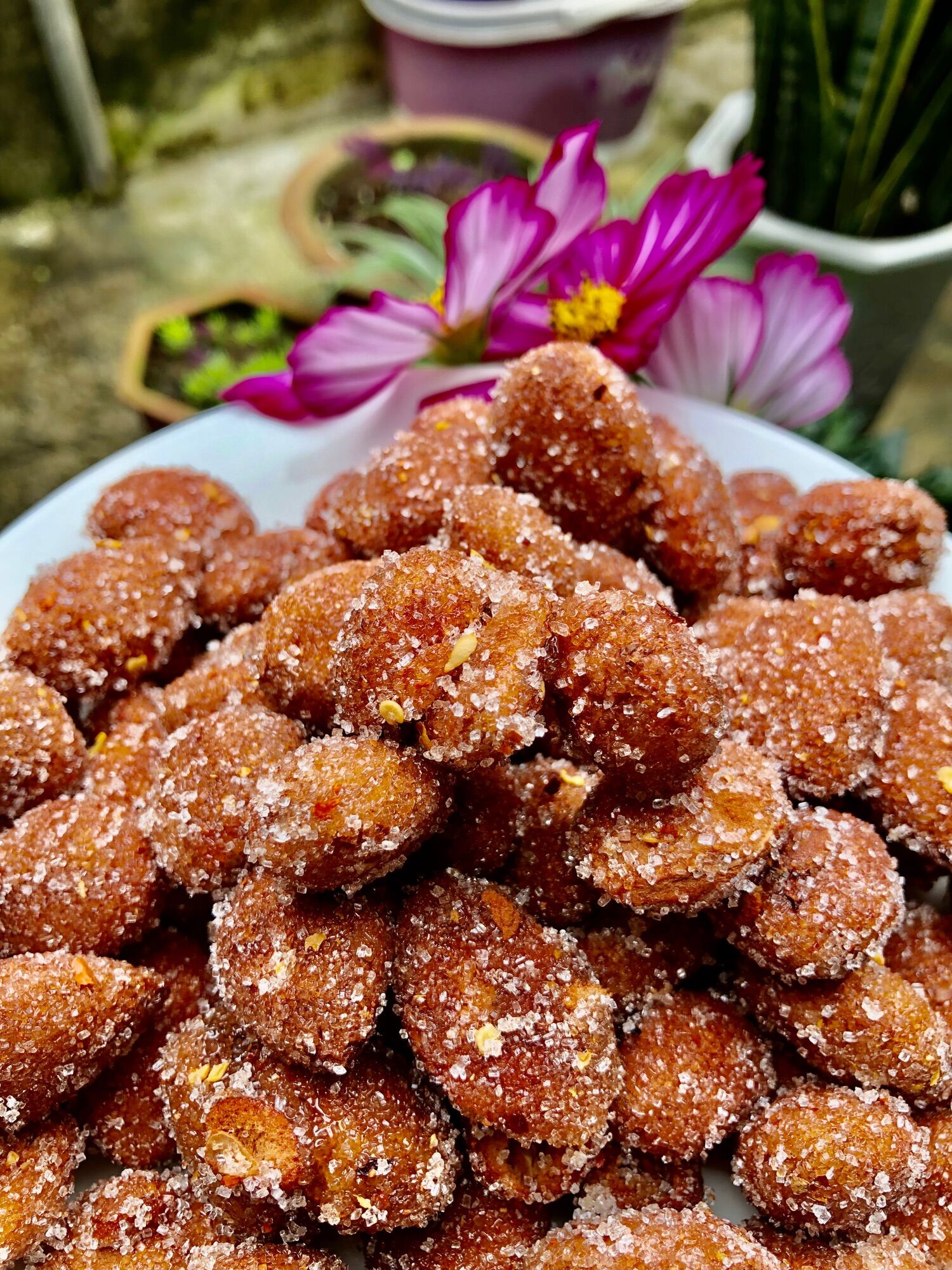 Say lắc muối ớt - say rim đường mật | tặng muối tôm kho sỉ toàn quốc say/xay rừng