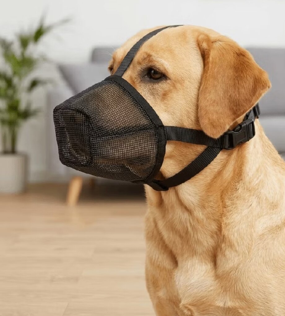 Rọ mõm cún cưng chống cắn có thể điều chỉnh kích thước, chất liệu vải thoáng khí, size S (B02)