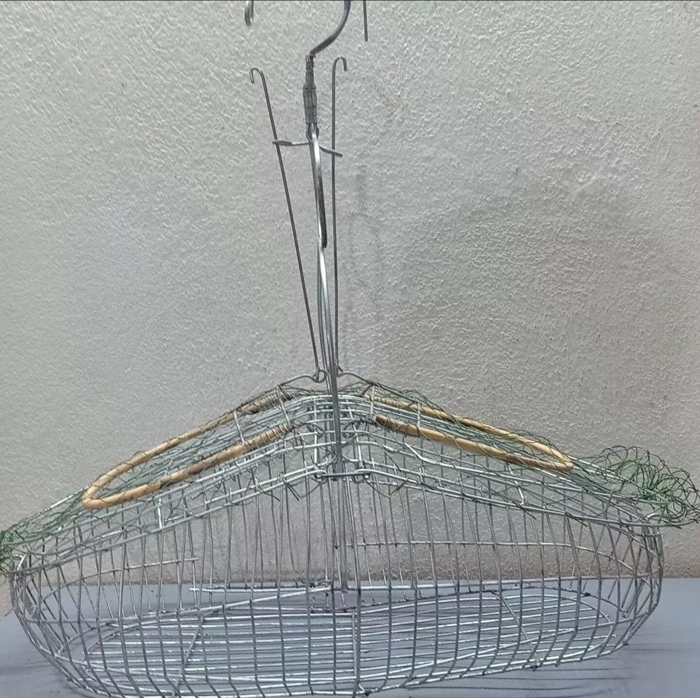 Bẫy chim khuyên, sâu thép tặng cóng