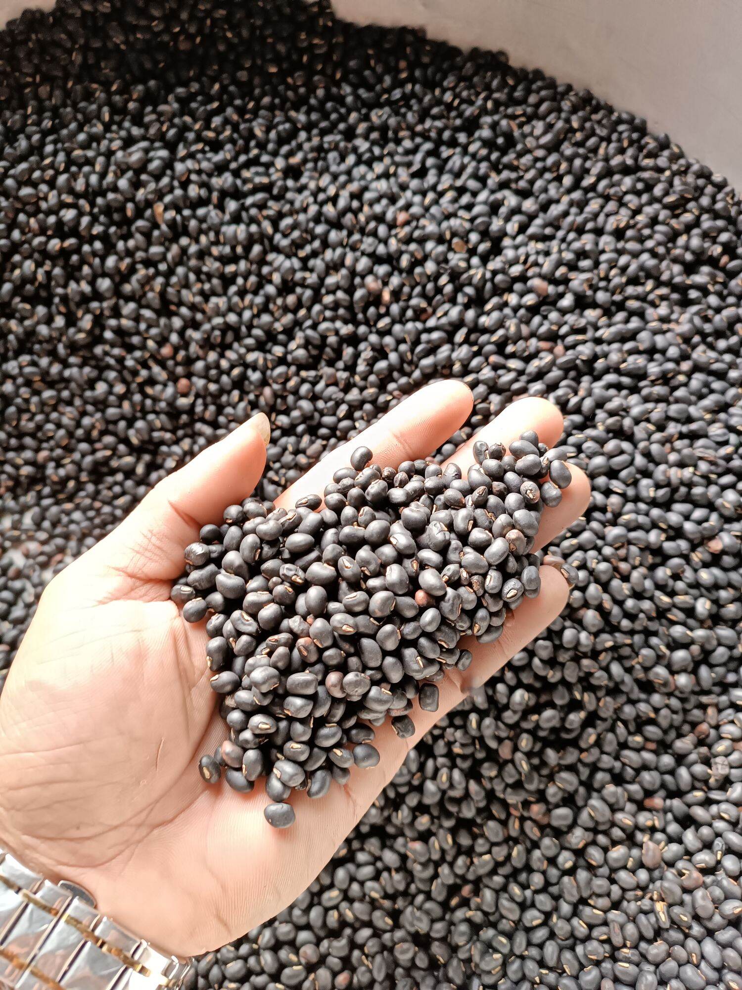 {1kg} Đậu đen xanh lòng rang sẵn.