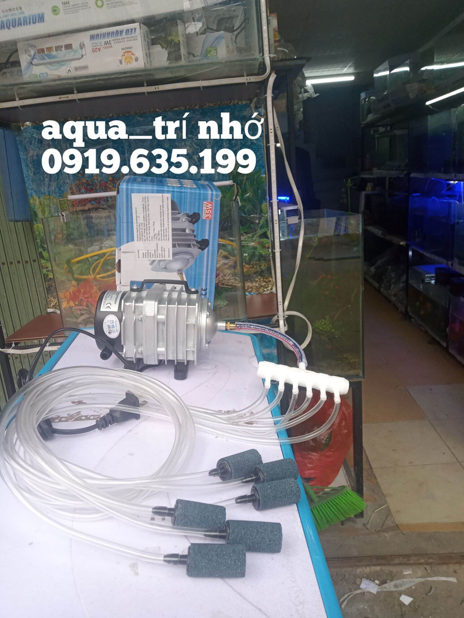 Combo máy sủi hailea aco-208 25w + dây sủi quả sủi khớp với các vòi