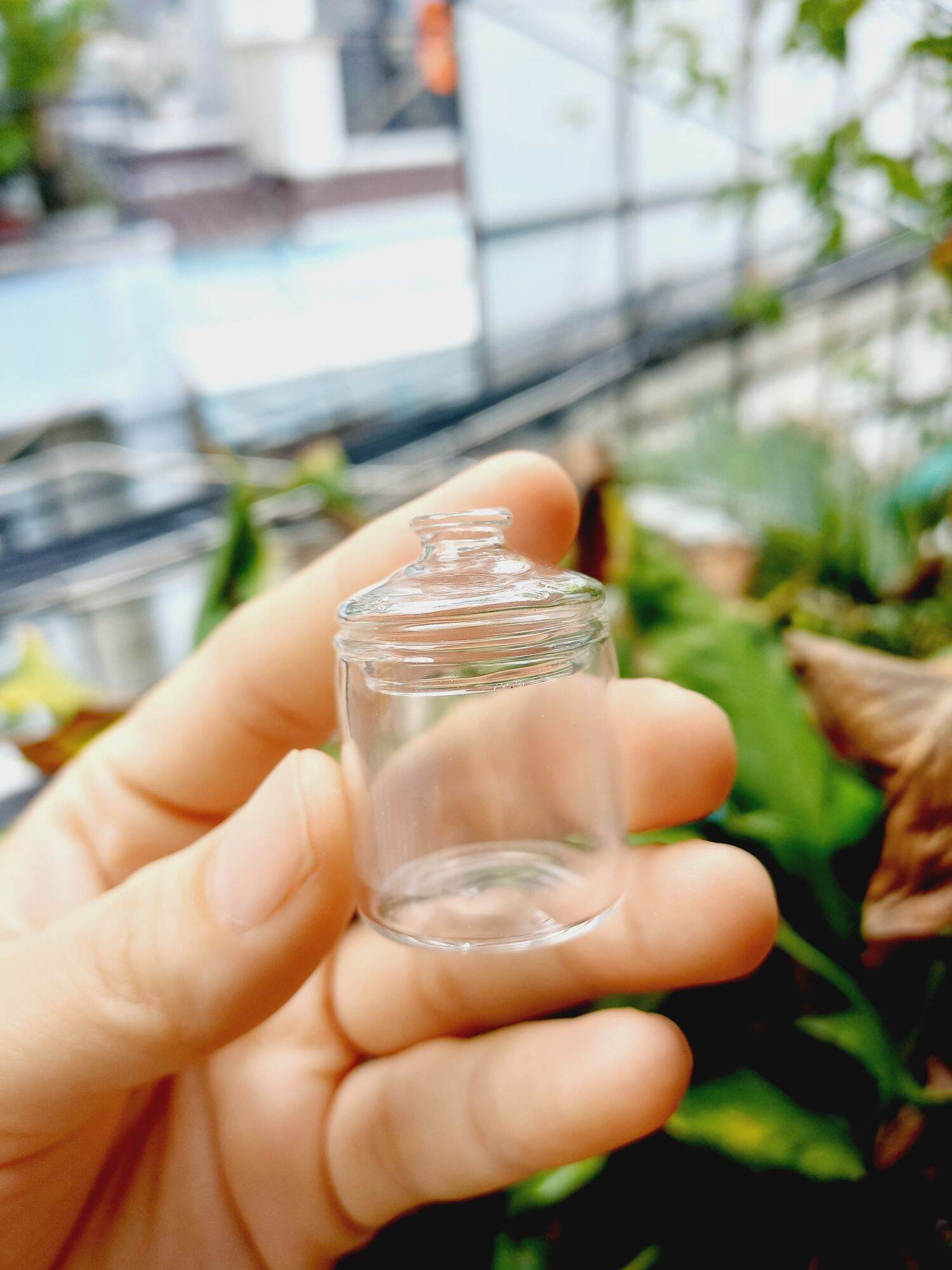 Hủ Thủy Tinh Có Nắp cho dollhouse , miniature | Lazada.vn