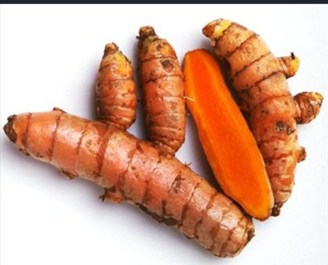 1Kg củ giống Nghệ Đỏ