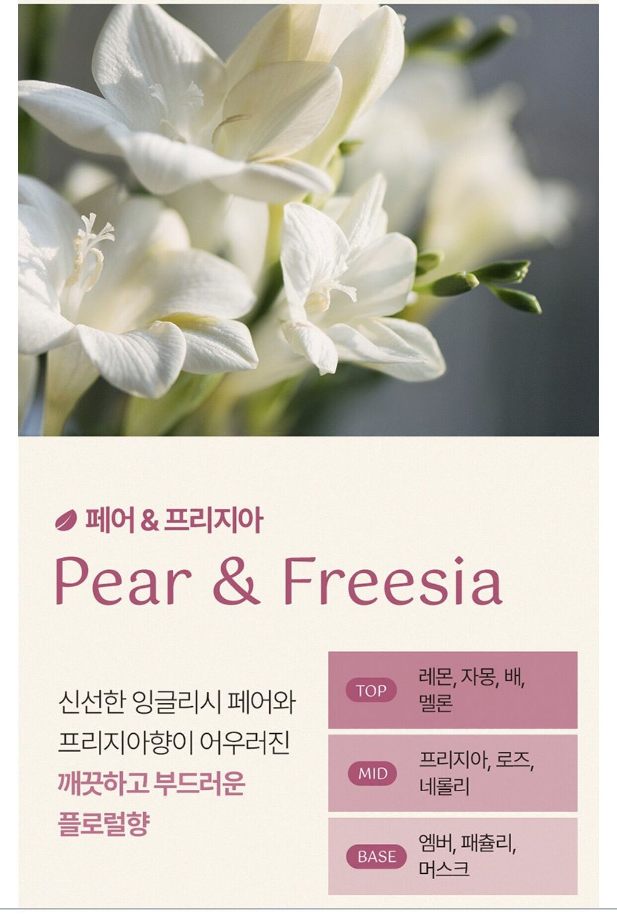 Giấy thơm AROMA SHEET LG combo 5 hộp đủ 2 màu( ghi chú khi chọn mùi)