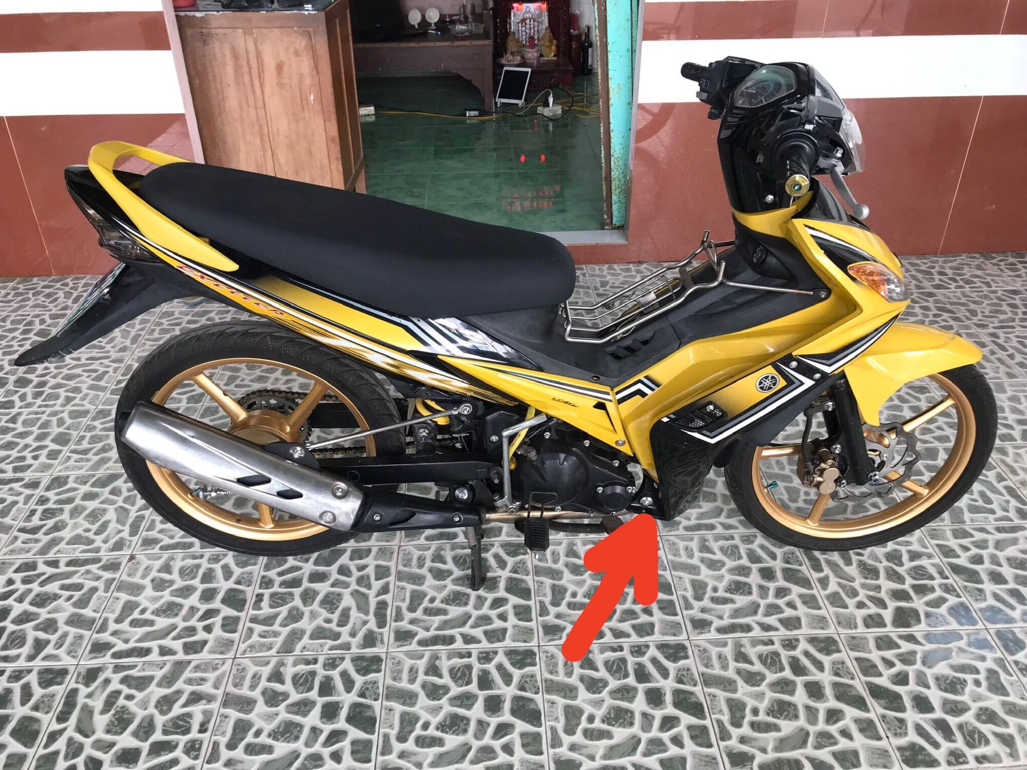 Pas bửng Ex2006-2010.