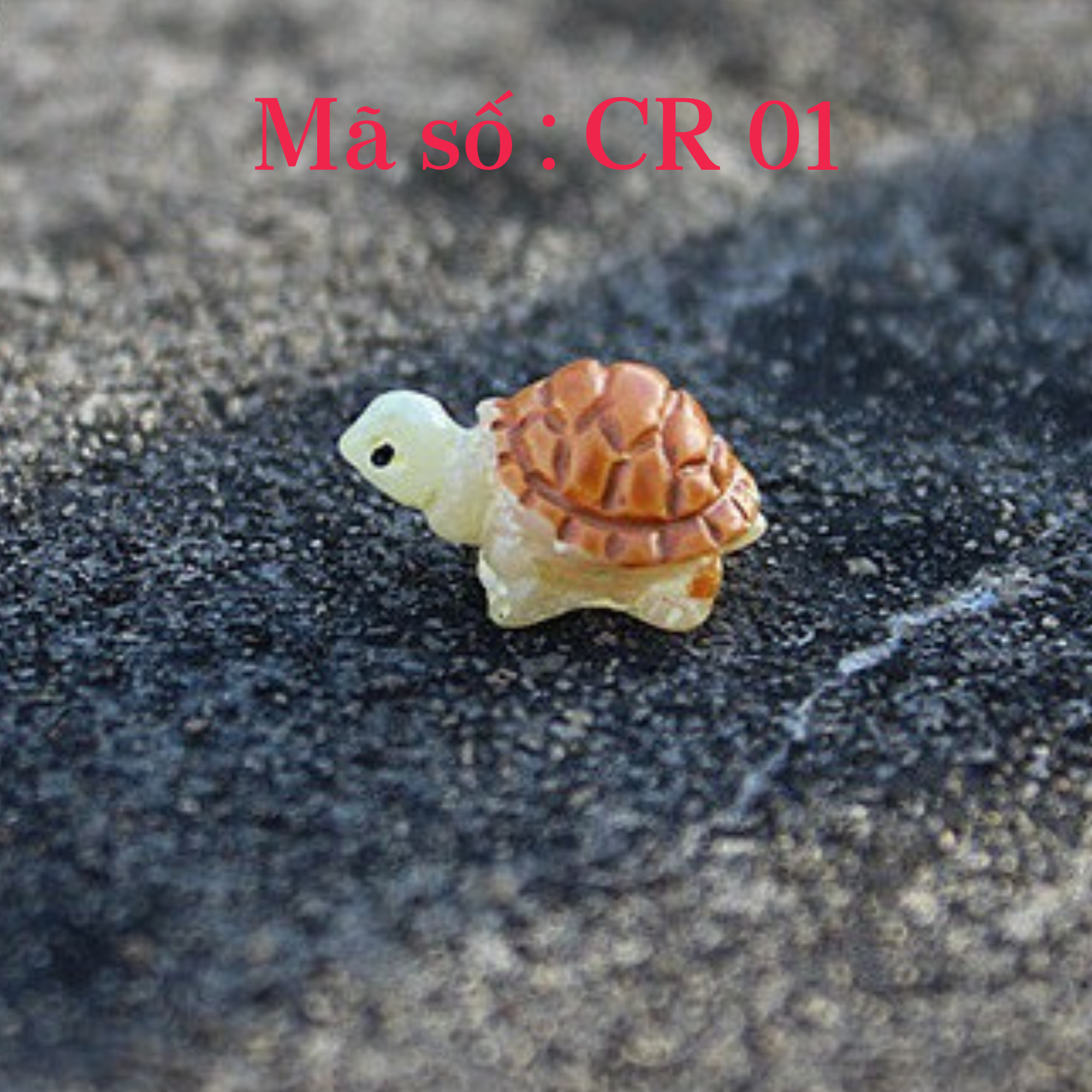 Trang trí bể cá , tiểu cảnh ( mô hình rùa mini )