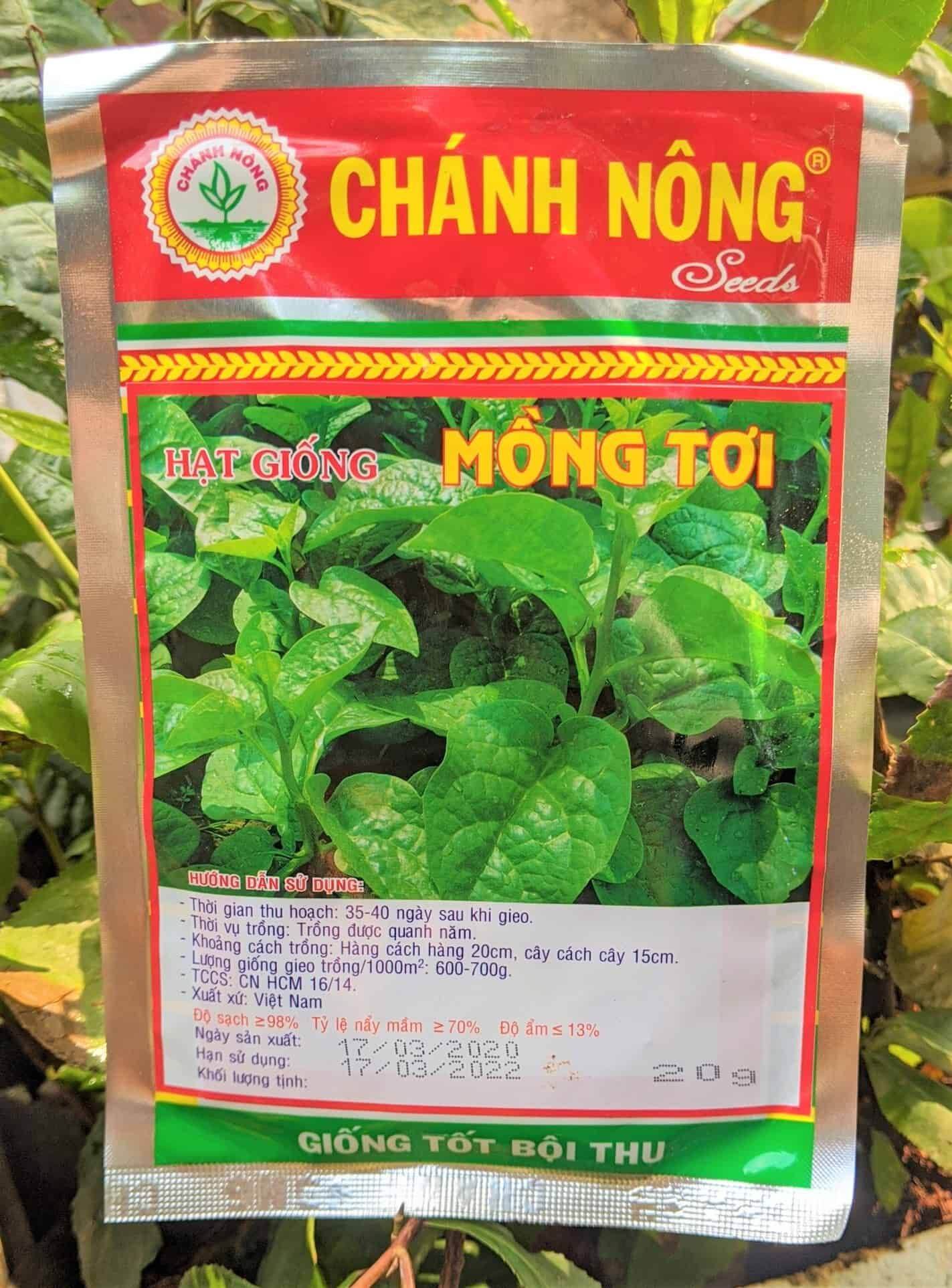 Hạt giống mồng tơi