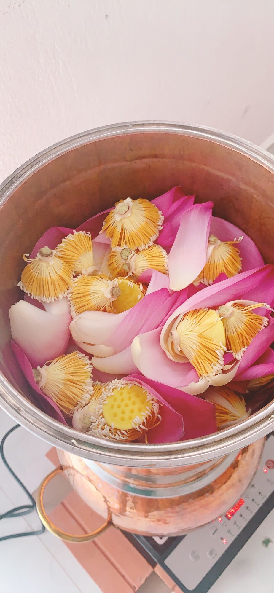 Nước chưng cất hoa sen Hiltown