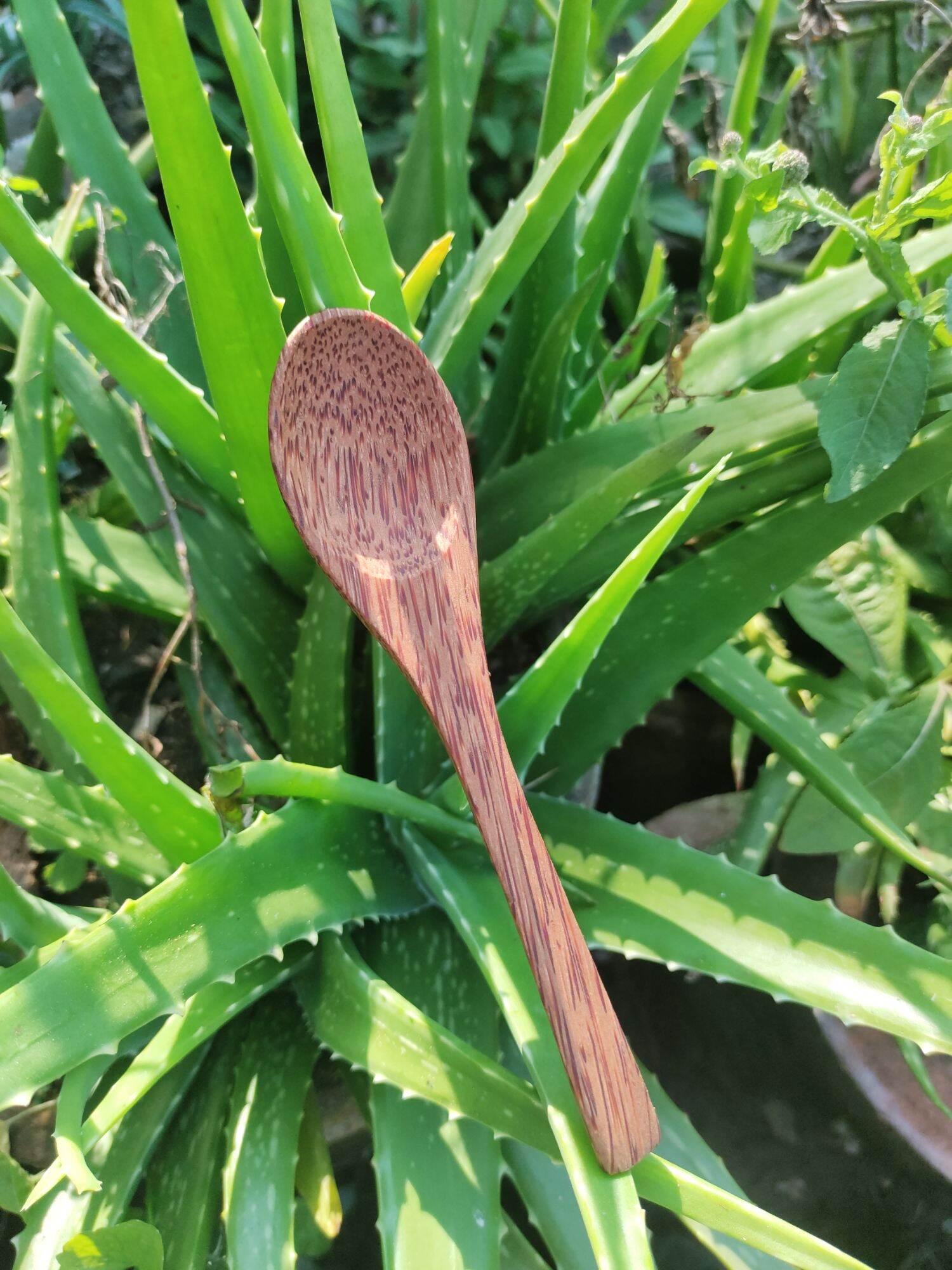 COMBO CHÉN GÁO DỪA + MUỖNG GỖ DỪA GIÁ SỈ