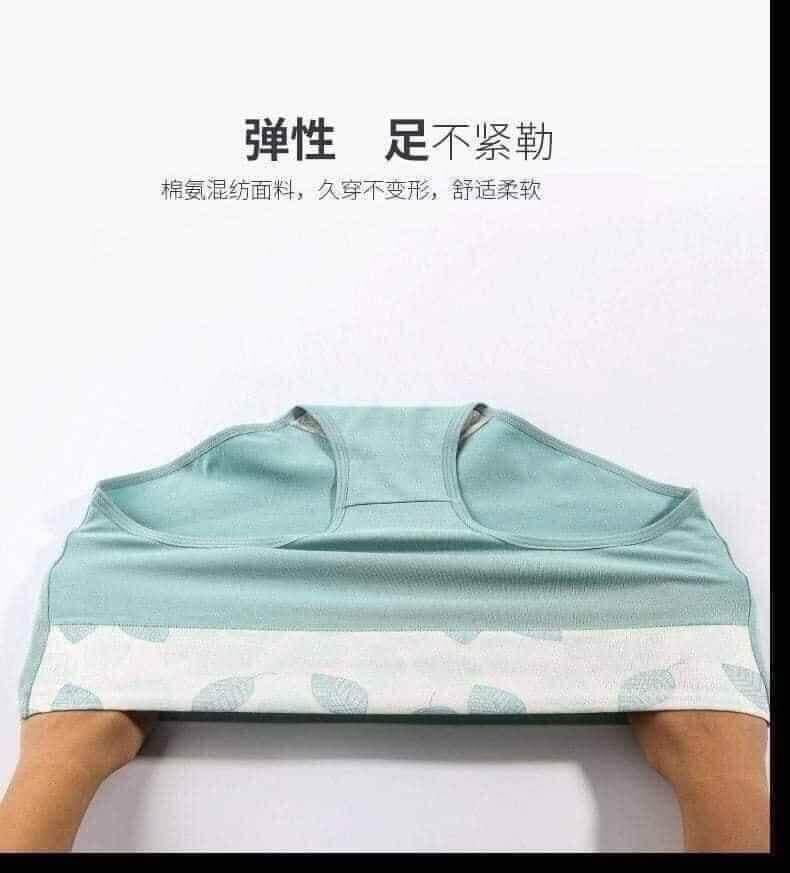Quần lót cạp cao Cotton