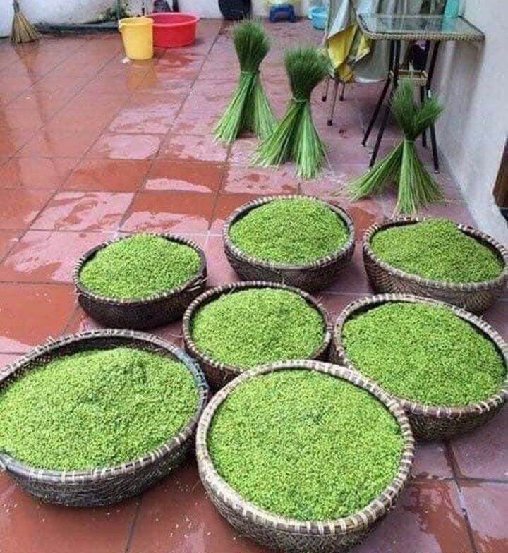 CỐM NON TÂY BẮC 500g
