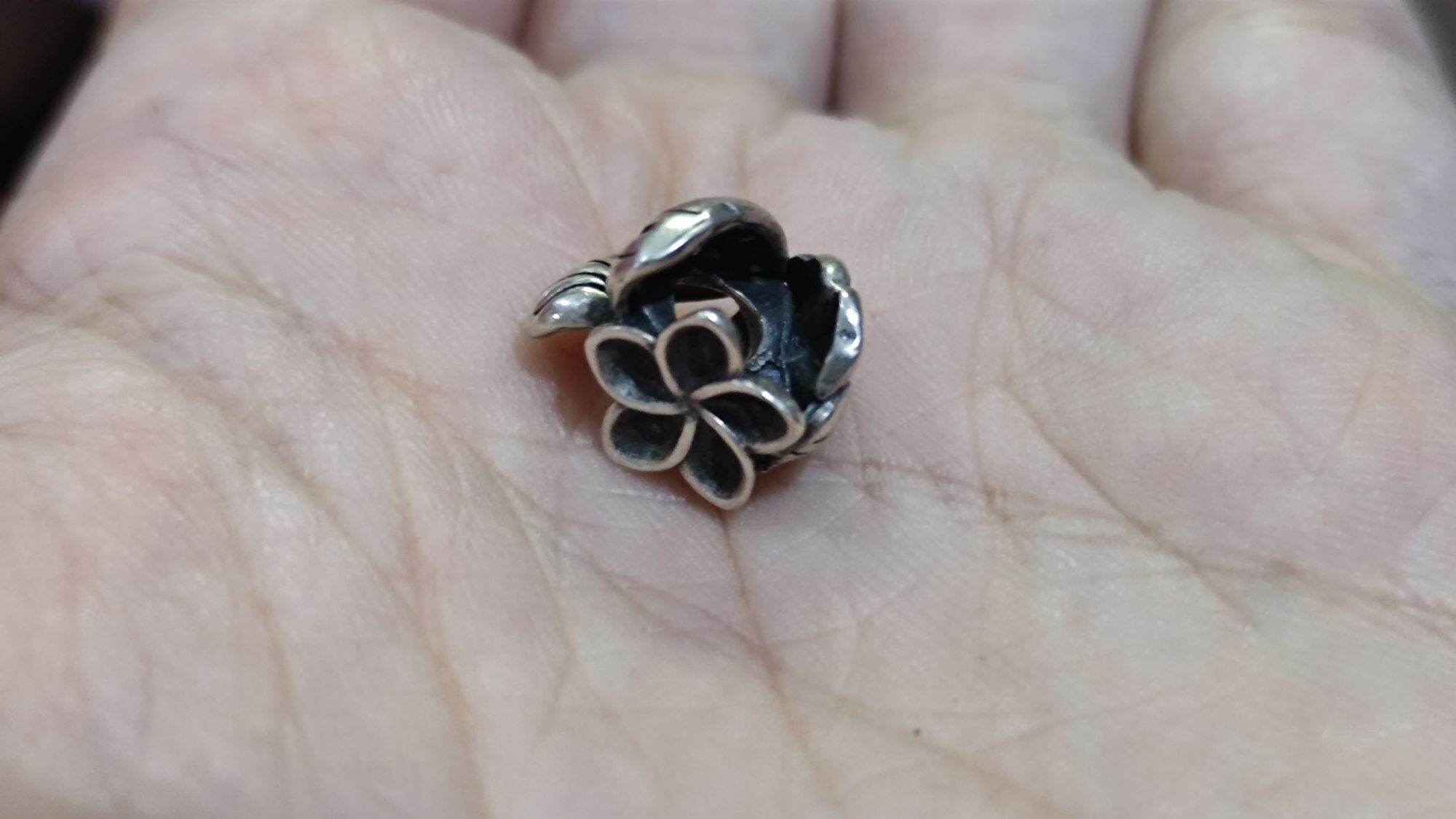 GauBee Charm bạc 925 hoa nhiệt đới tropical