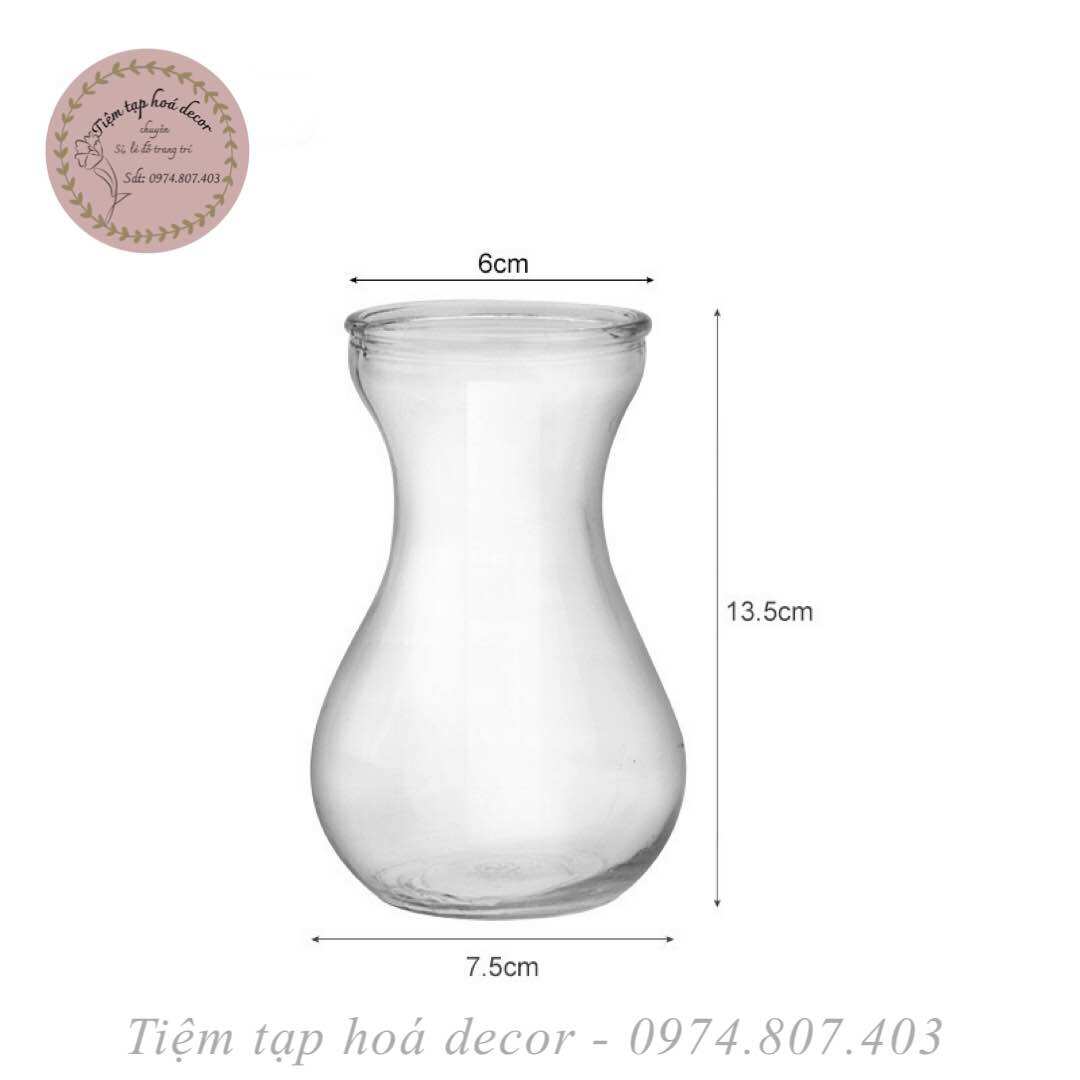 Bình trồng cây thuỷ sinh để bàn