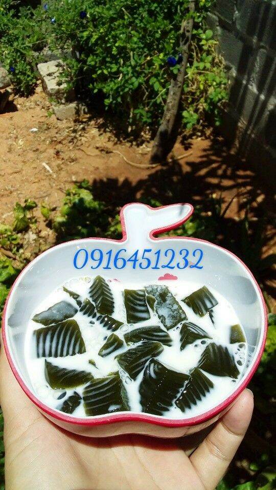 100g Lá sương sâm lông khô tặng bột nang mực (hút chân không)